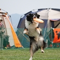 55th Mother Cup 08698.JPG