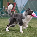 55th Mother Cup 08815.JPG