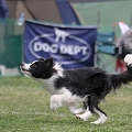 55th Mother Cup 08857.JPG