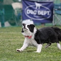 55th Mother Cup 08925.JPG
