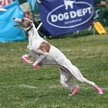55th Mother Cup 08115.JPG
