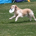 55th Mother Cup 08181.JPG