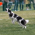 55th Mother Cup 08199.JPG