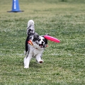 55th Mother Cup 08252.JPG