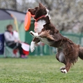 55th Mother Cup 08973.JPG