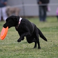 55th Mother Cup 09143.JPG