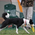 55th Mother Cup 09160.JPG
