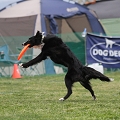 55th Mother Cup 09168.JPG