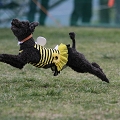 55th Mother Cup 09198.JPG