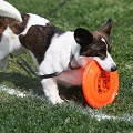 55th Mother Cup 02564.JPG