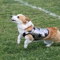 55th Mother Cup 02605.JPG