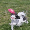 55th Mother Cup 02778.JPG