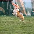 55th Mother Cup 06481.JPG
