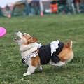 55th Mother Cup 06556.JPG