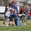 55th Mother Cup 08436.JPG