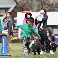 55th Mother Cup 08482.JPG