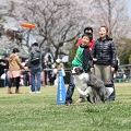 55th Mother Cup 08503.JPG