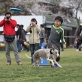 55th Mother Cup 08532.JPG