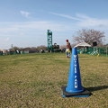 55th Mother Cup 07566.JPG