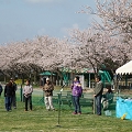 55th Mother Cup 07581.JPG