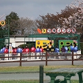 55th Mother Cup 07585.JPG