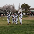 55th Mother Cup 07689.JPG