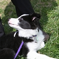 55th Mother Cup 03811.JPG