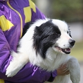 55th Mother Cup 04495.JPG