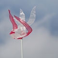 55th Mother Cup 05320.JPG