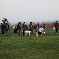 55th Mother Cup 07693.JPG