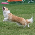 56th Mother Cup 00096.JPG