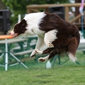56th Mother Cup 00113.JPG