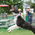 56th Mother Cup 00169.JPG