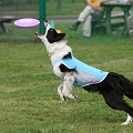 56th Mother Cup 00209.JPG