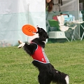 56th Mother Cup 00339.JPG