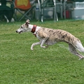 56th Mother Cup 00418.JPG