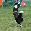 56th Mother Cup 00521.JPG