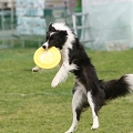56th Mother Cup 00694.JPG