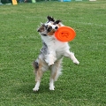 56th Mother Cup 00792.JPG