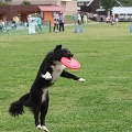 56th Mother Cup 01005.JPG