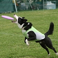 56th Mother Cup 01052.JPG