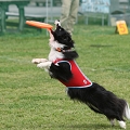56th Mother Cup 01155.JPG