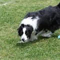 56th Mother Cup 03427.JPG