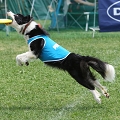 56th Mother Cup 03737.JPG