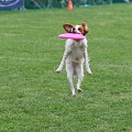 56th Mother Cup 04383.JPG