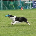56th Mother Cup 04514.JPG