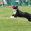 56th Mother Cup 04652.JPG