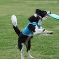 56th Mother Cup 04822.JPG