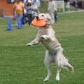 56th Mother Cup 01302.JPG