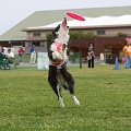 56th Mother Cup 01452.JPG